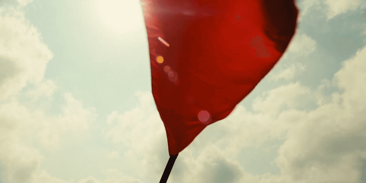 Tự Hào Việt Nam — SpaceX × Cris Ngô